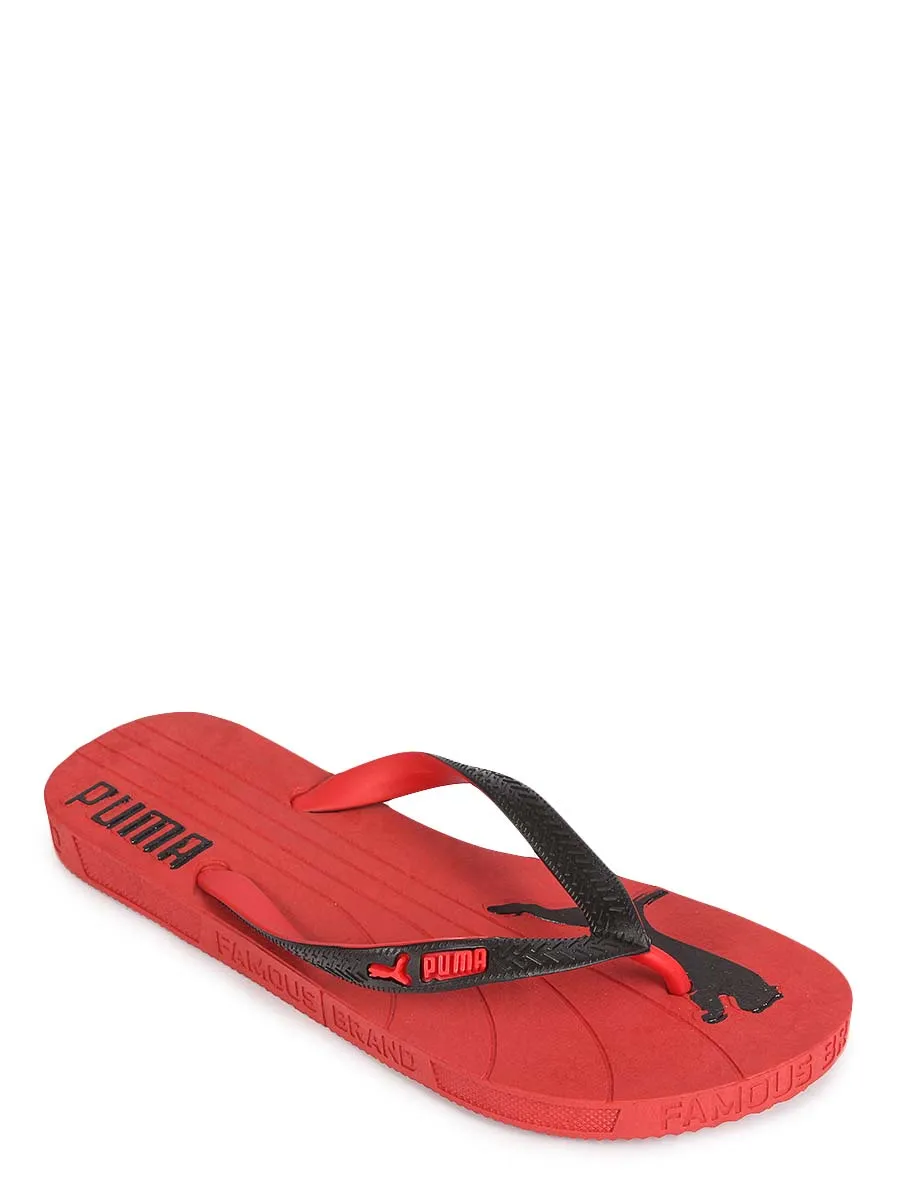 Famous Cat - Flip Flop - 921