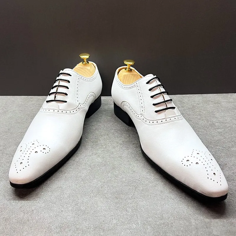 White Color Pointed Toe Oxford Shoes